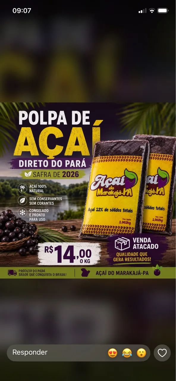 POLPAS DE AÇAÍ PURO DO PARÁ 