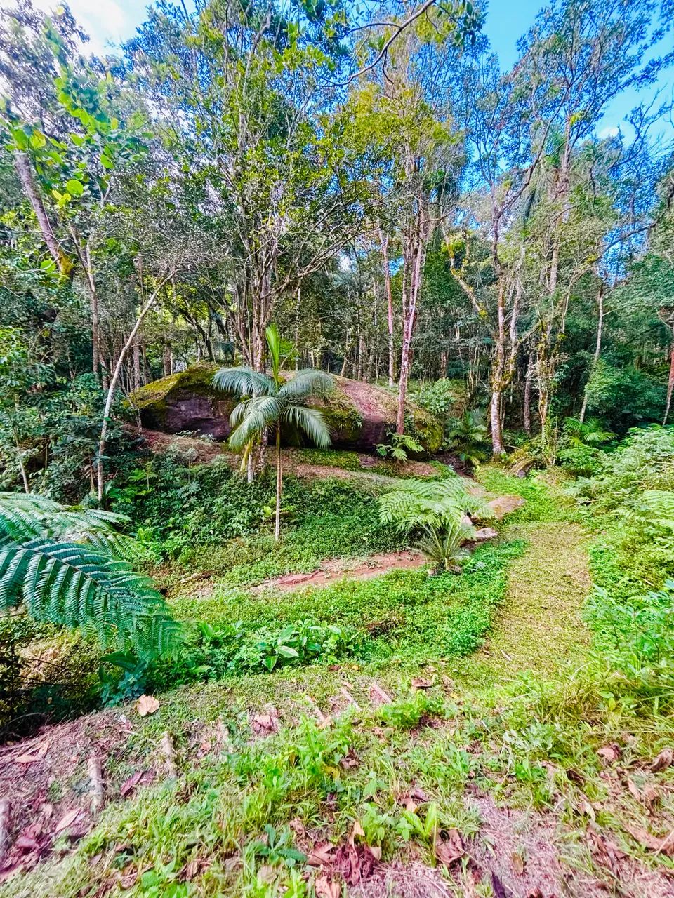 Vendo chácara linda - Foto 4