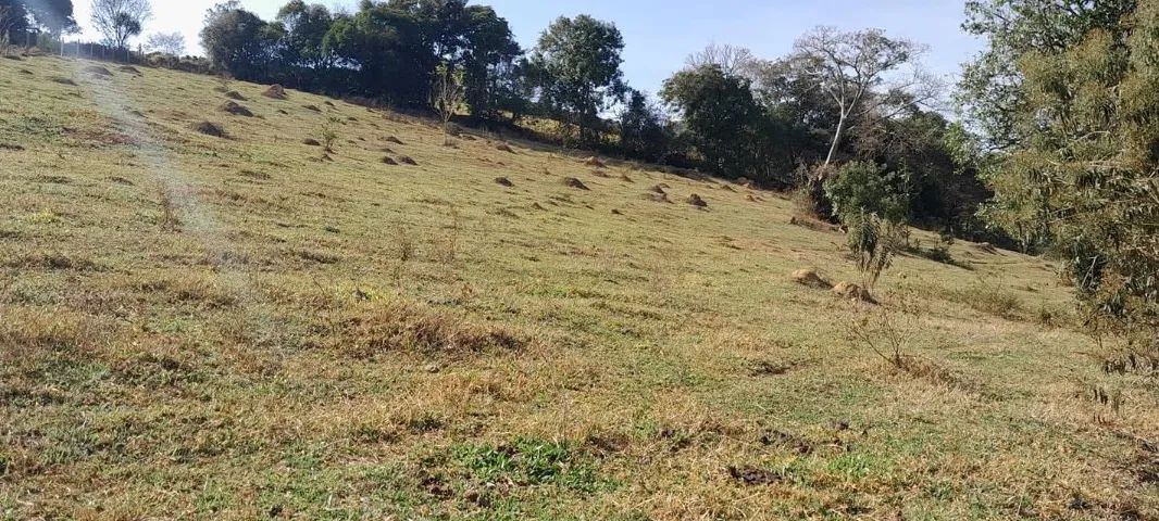 Terreno 2.000m2 - Foto 5