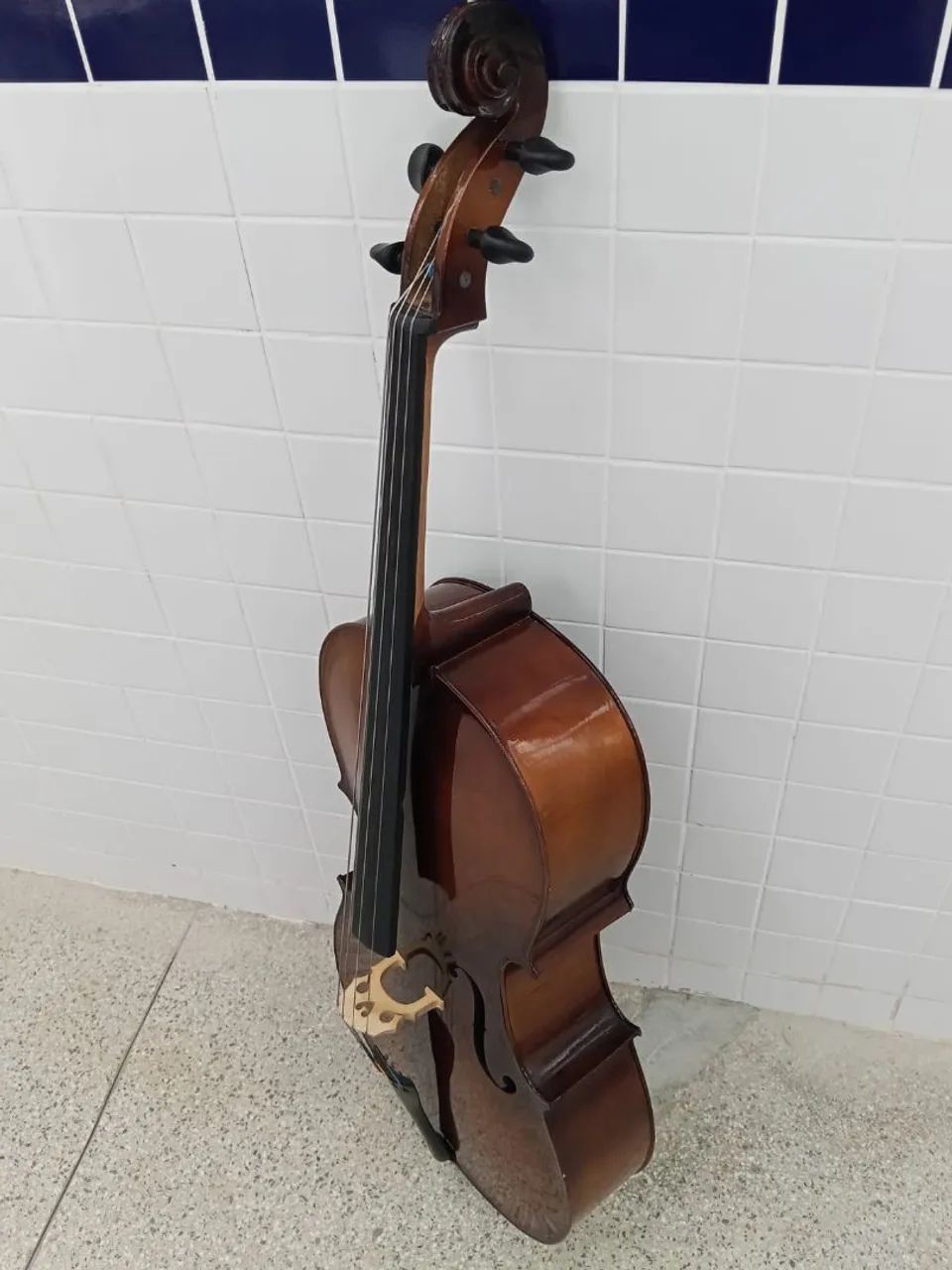 Violoncelo  - Foto 5