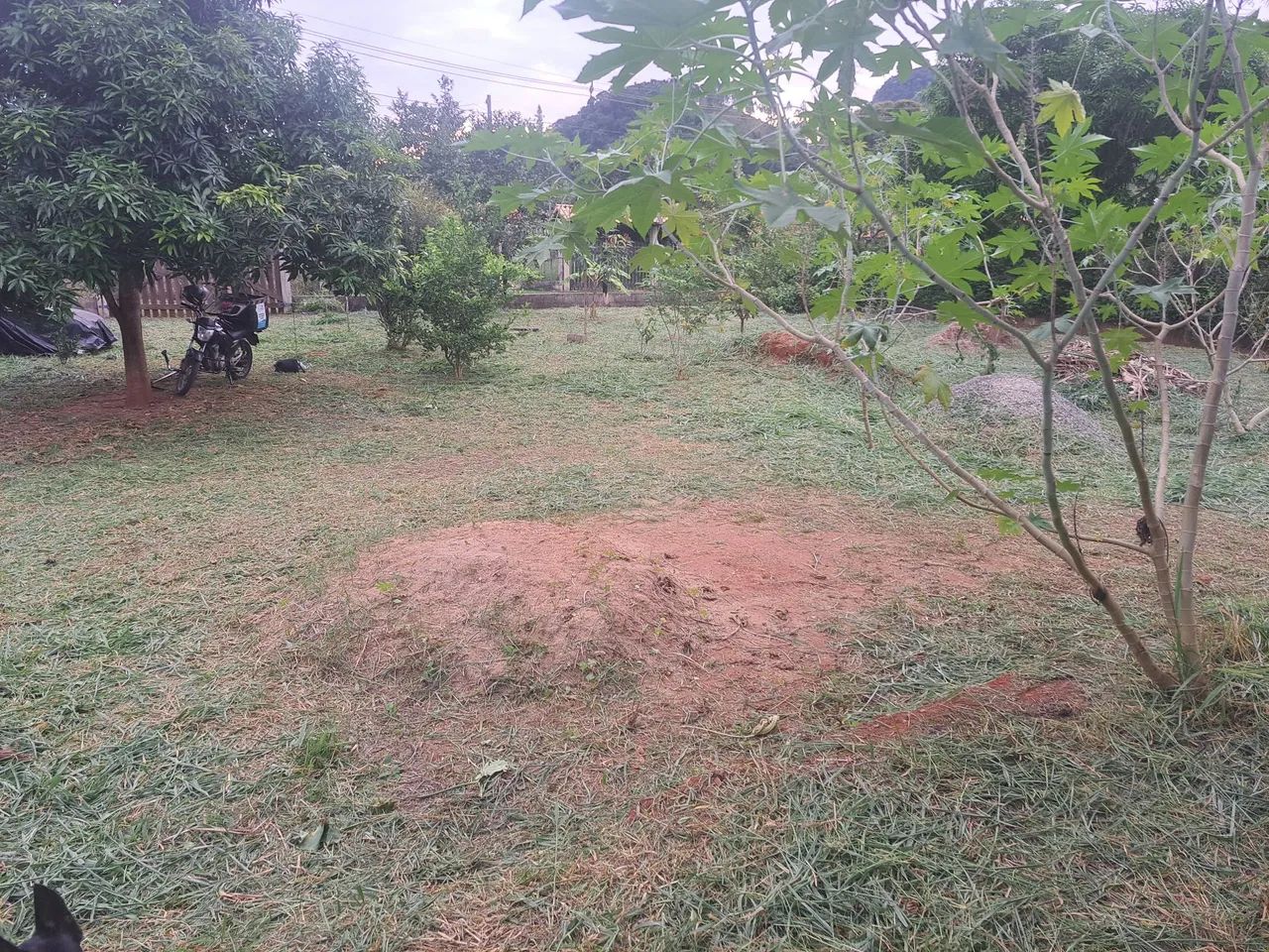 Roçada mecânica em terrenos, lotes e quintais. - Foto 4