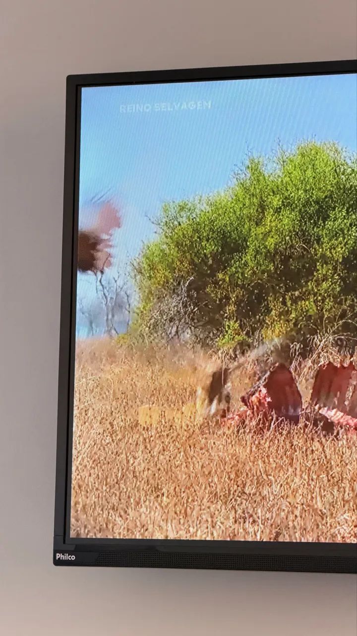 Smart TV Philco 39? LED HD - Android TV + Wi-Fi - Foto 2