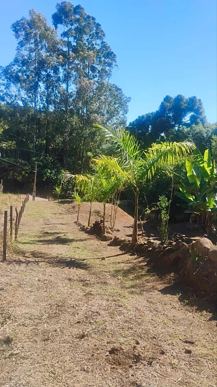 Vendo Chácara Ótima oportunidade  - Foto 3