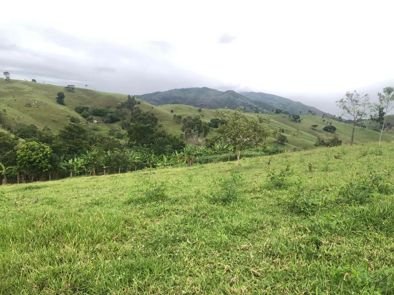 Terra a Venda em Itarantim  - Foto 5