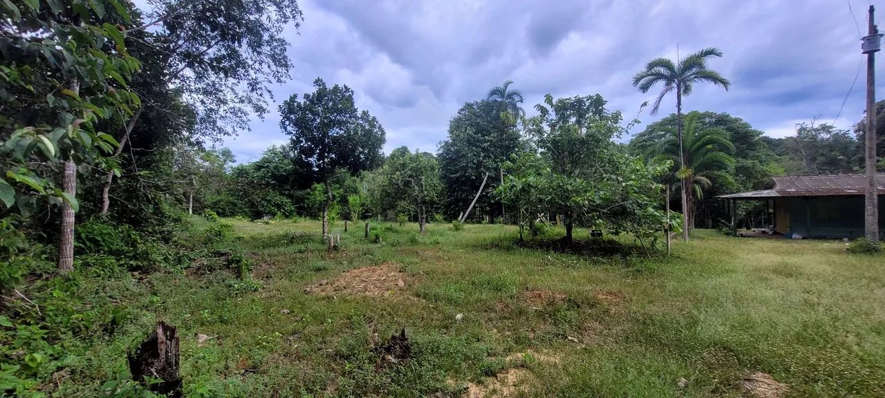 Sitio no  Ramal castanehira  - Foto 4