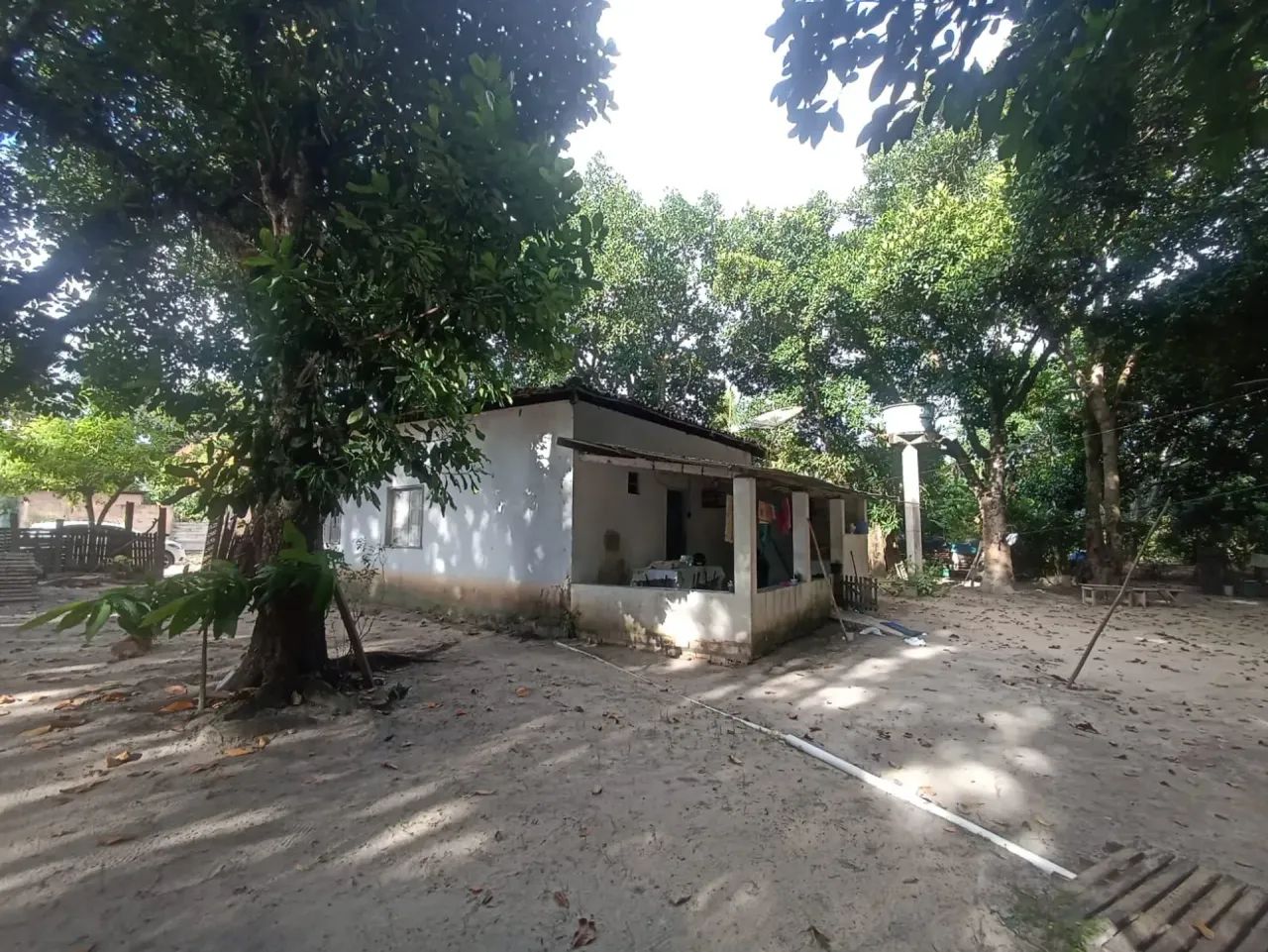 Vende sítio no Juca Rosa - Foto 3