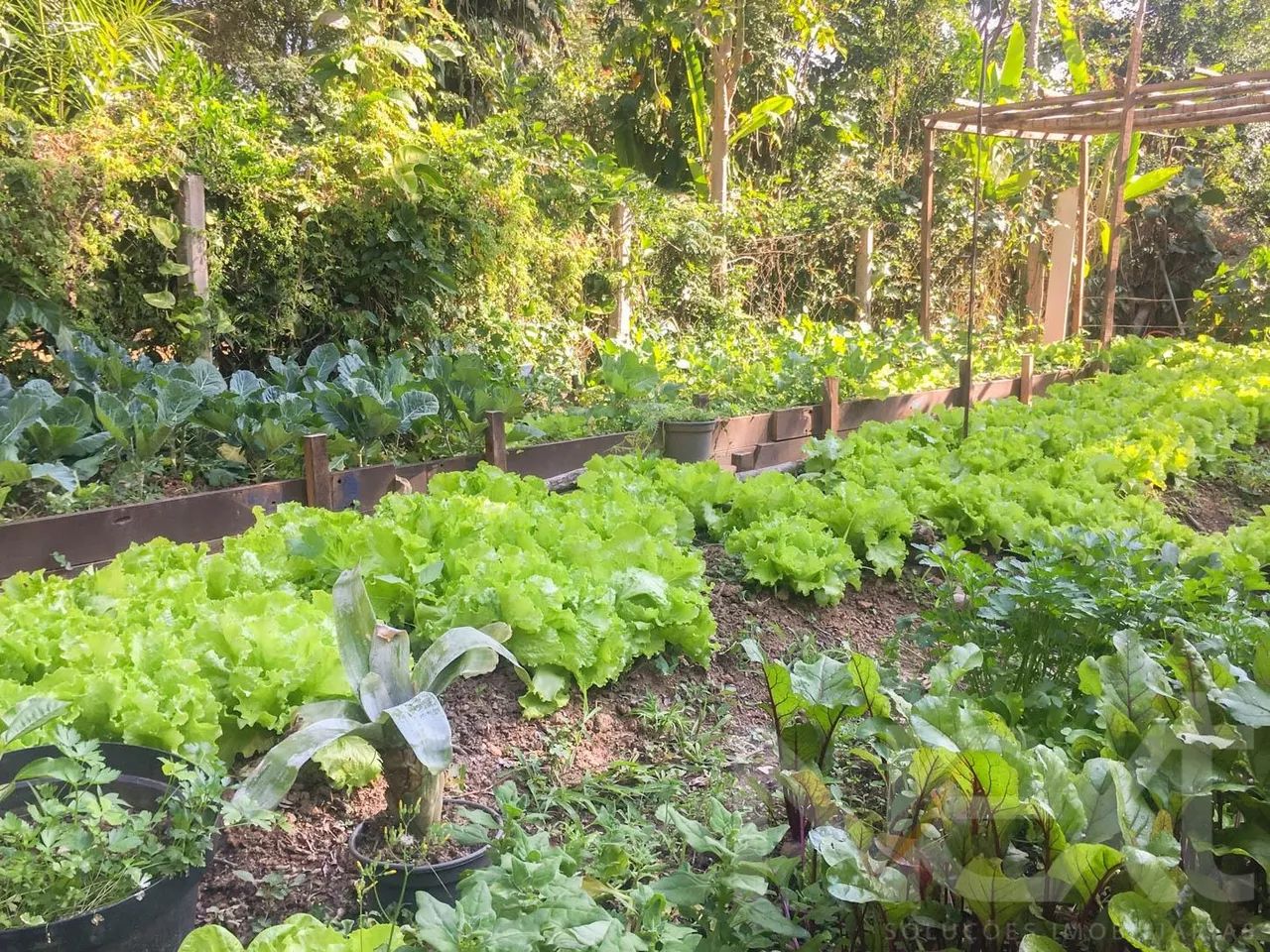 terreno - Sítios de Recreio Gramado - Campinas - Foto 3