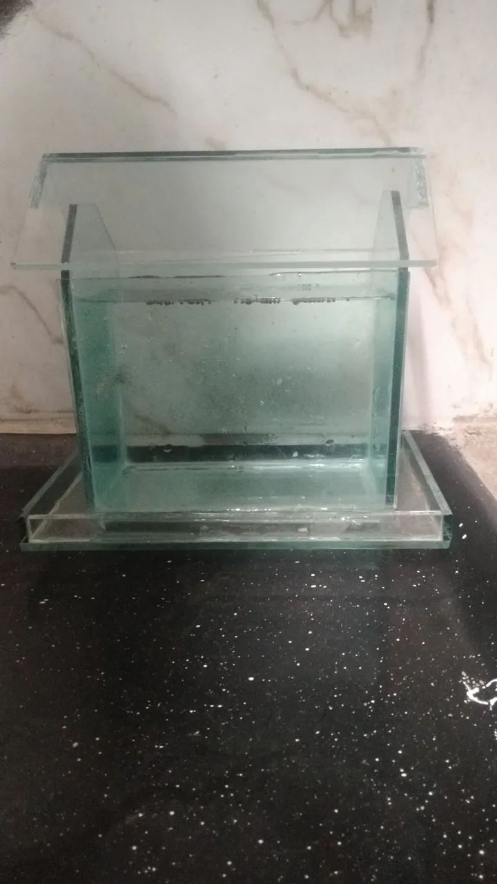 Aquário com 1 peixe ?