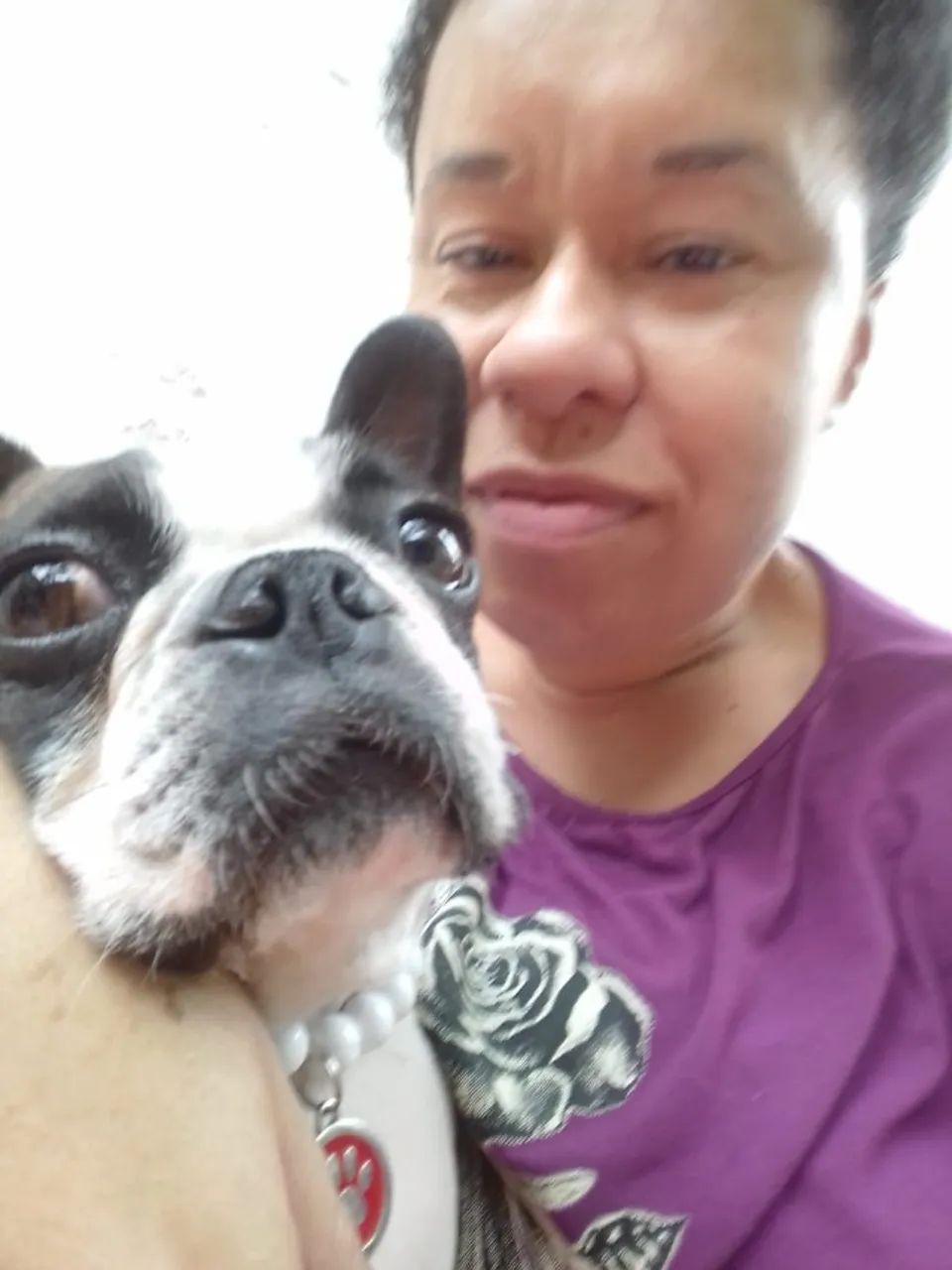 Cuidadora de cães e gatos no ABC - Foto 2