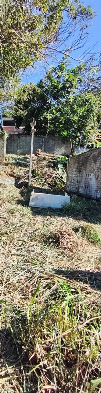 Terreno Plano em Mussurunga - Foto 3