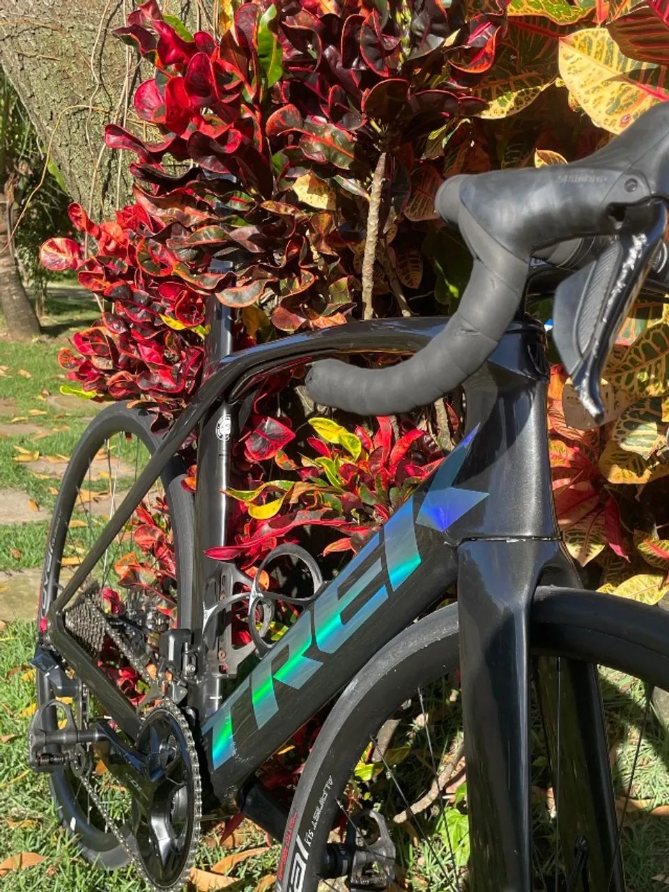 Trek Speed Madone - Foto 3