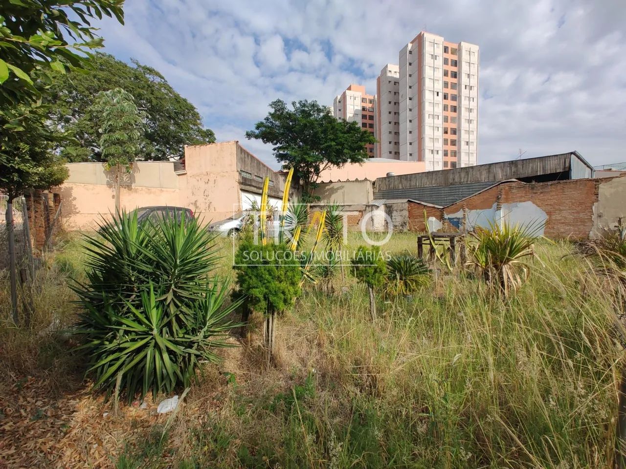 terreno - Ponte Preta - Campinas - Foto 3