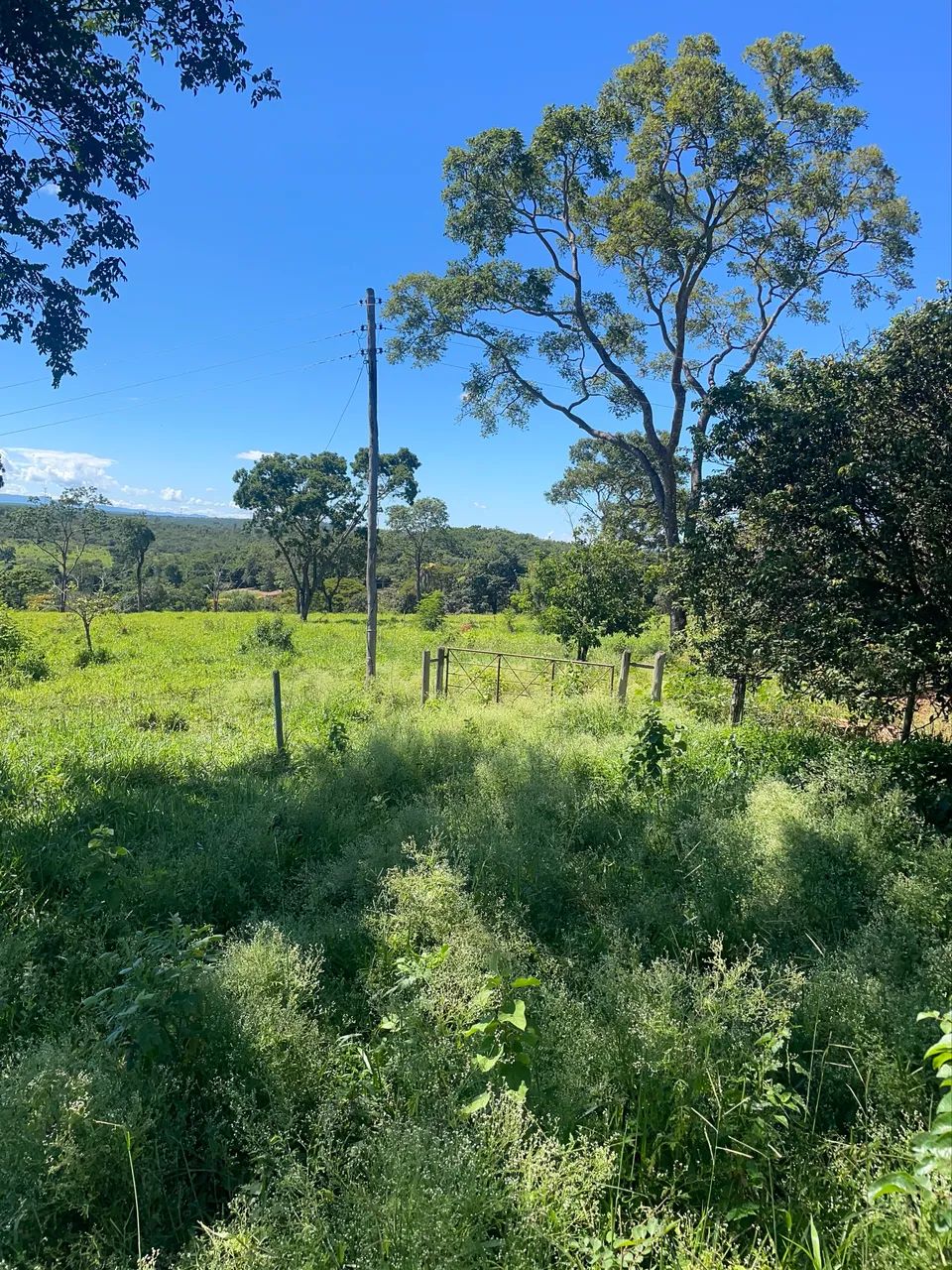 Fazendinha em terreno , a4km de Baldim - Foto 3