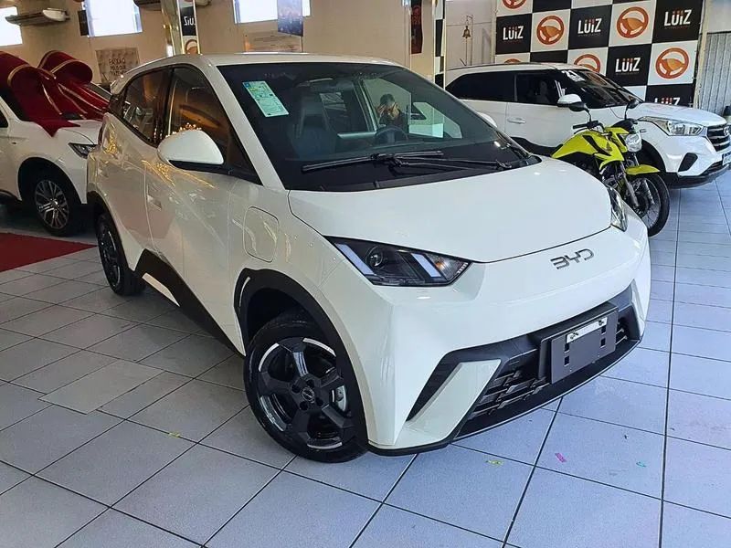 BYD Dolphin Mini (Elétrico) 2027 - Foto 2