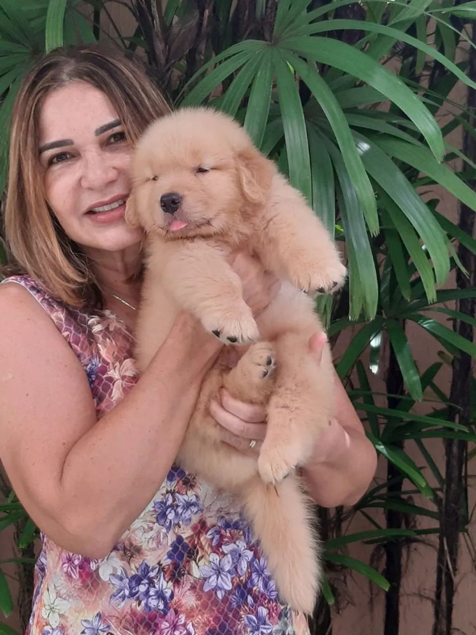 Golden Retriever filhotes  Excelente Linhagem - pedigree CBKC - Foto 2