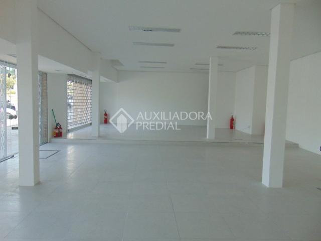 Loja comercial para alugar em Boa vista, Porto alegre cod:288022 - Foto 5