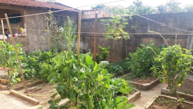 Casa à venda com 4 dormitórios em Alípio de melo, Belo horizonte cod:631 - Foto 8