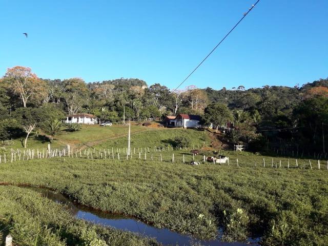 Fazenda de Cacau -Ilheus Ba