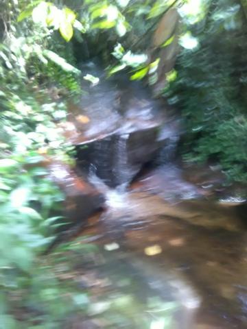 Vendo fazenda em Wenceslau Guimarães - Foto 5