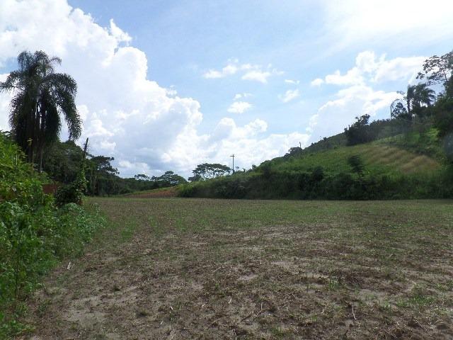 154 - Área de terra em Providência - Foto 7