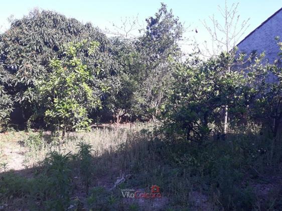 GALPÃO EM PONTAL DO PARANÁ. - Foto 10