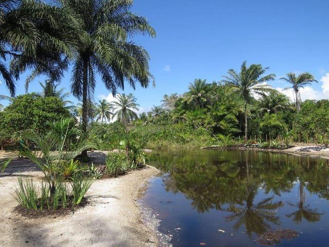 Propriedade Incrível em Taipu de Fora (50m da praia) - Foto 2
