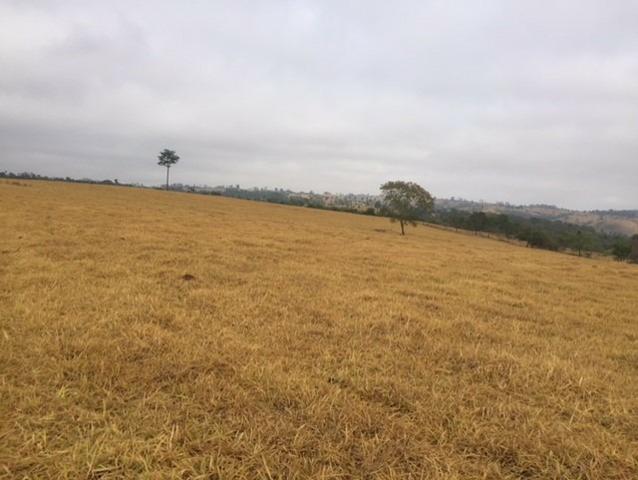 Fazenda 20 - Foto 4