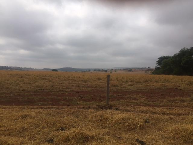 Fazenda 20 - Foto 11
