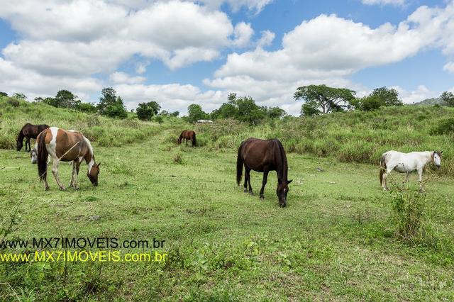 Fazenda Pecuária de 1.260 Hectares