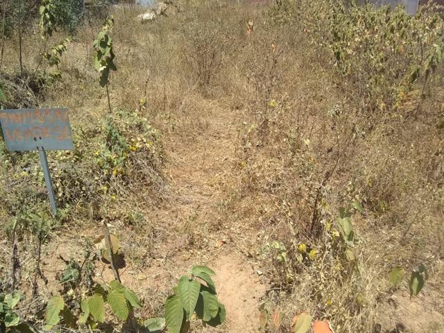 Vende-se terreno em toritama - Foto 3