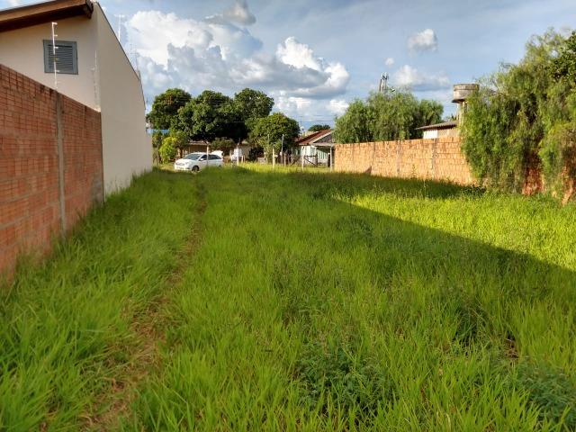 Lindo Lote Centro Oeste - Foto 4