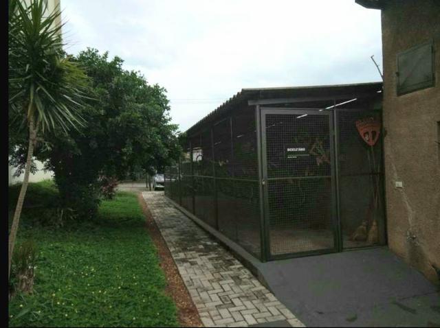 Lindo apartamento mega oferta - Foto 16