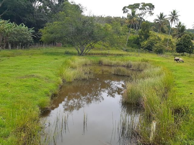 Sitio a venda em Andana-Guarapari ES com 2 - Foto 2