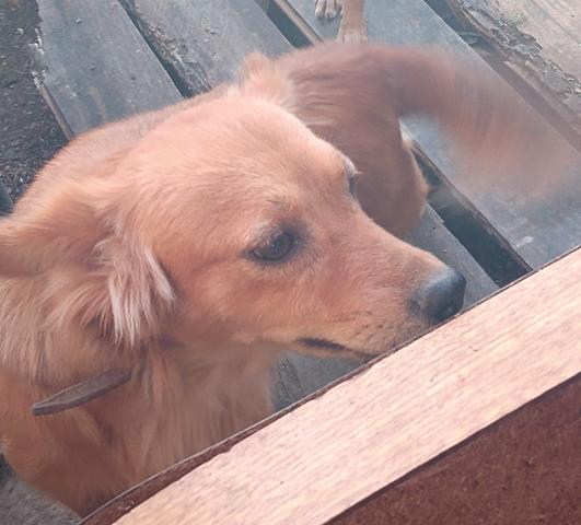 Doação - Foto 3