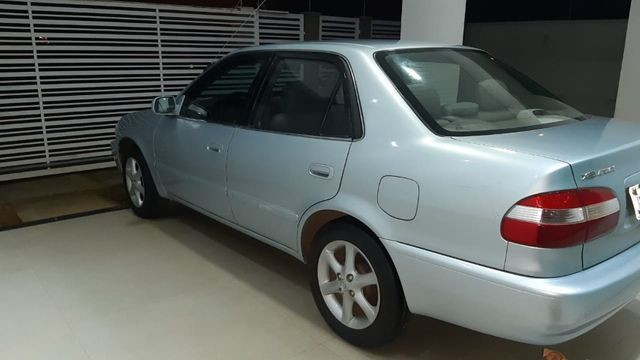 Corolla