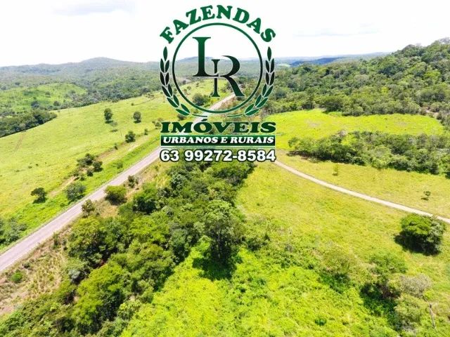 Fazenda 61 Alqueires Pecuária Próximo a Palmas