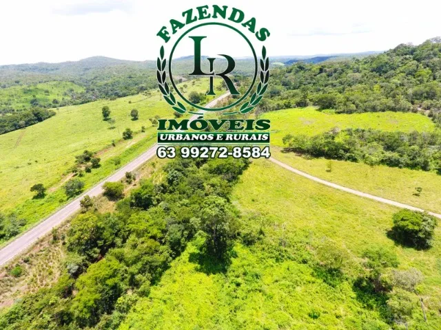 Fazenda 61 Alqueires Pecuária Próximo a Palmas