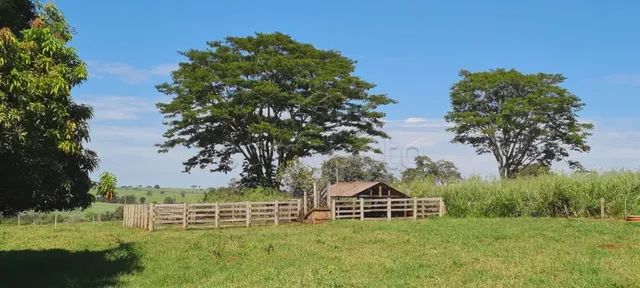 Rural Sítio - Foto 2