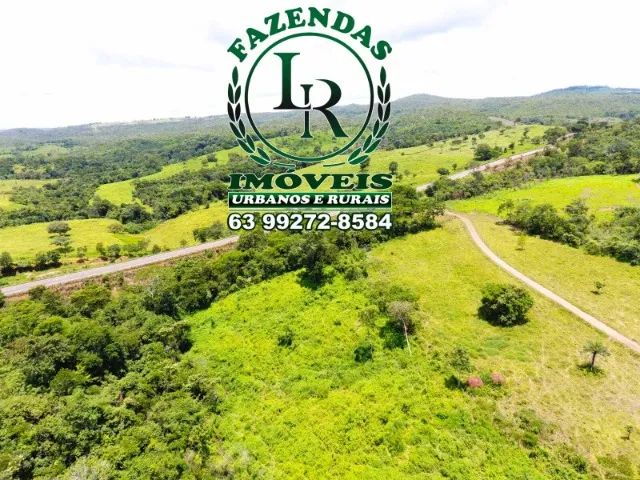 Fazenda 61 Alqueires Pecuária Próximo a Palmas - Foto 2