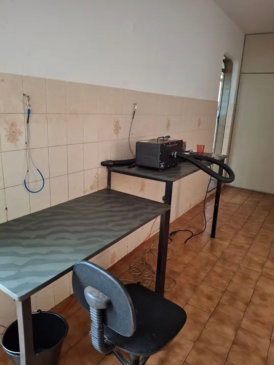 PETSHOP / BANHO E TOSA MONTADO NA SILVA JARDIM - Foto 8