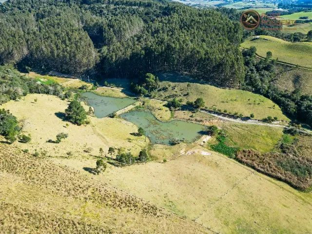 Chácara de 2 hectares - Serra Catarinense - Foto 2