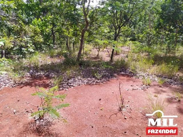 Fazenda p/ Soja em São Valério-TO. . 232 Alq. (1.122 Há) - Foto 2