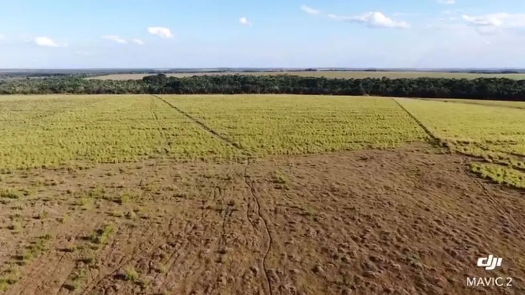 Fazenda em Guaraí -TO. - Foto 3