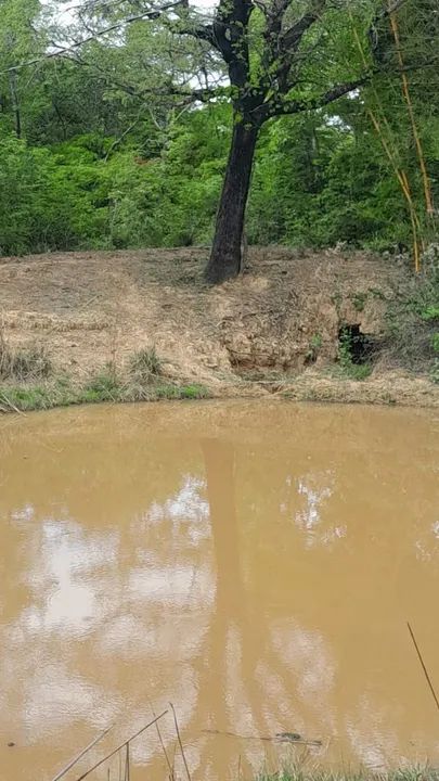Chácara de 2 hequitares a 32 km de moc