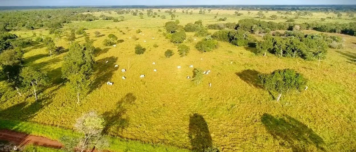 Fazenda na região de Cocalinho-MT - Foto 3