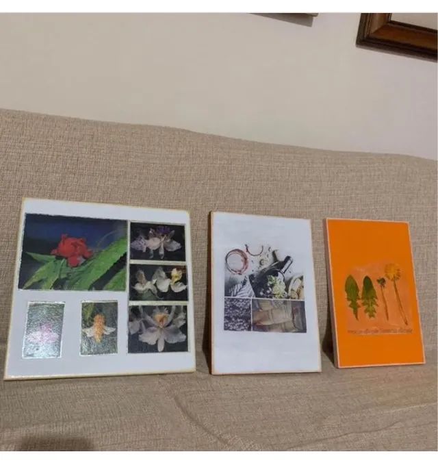 3 quadrinhos decorativos 