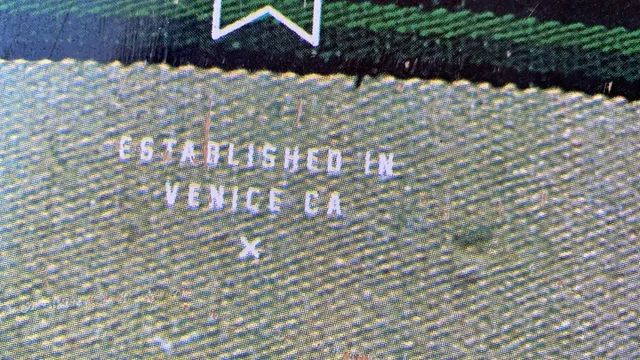 Skate Arbor Collective - Foto 3