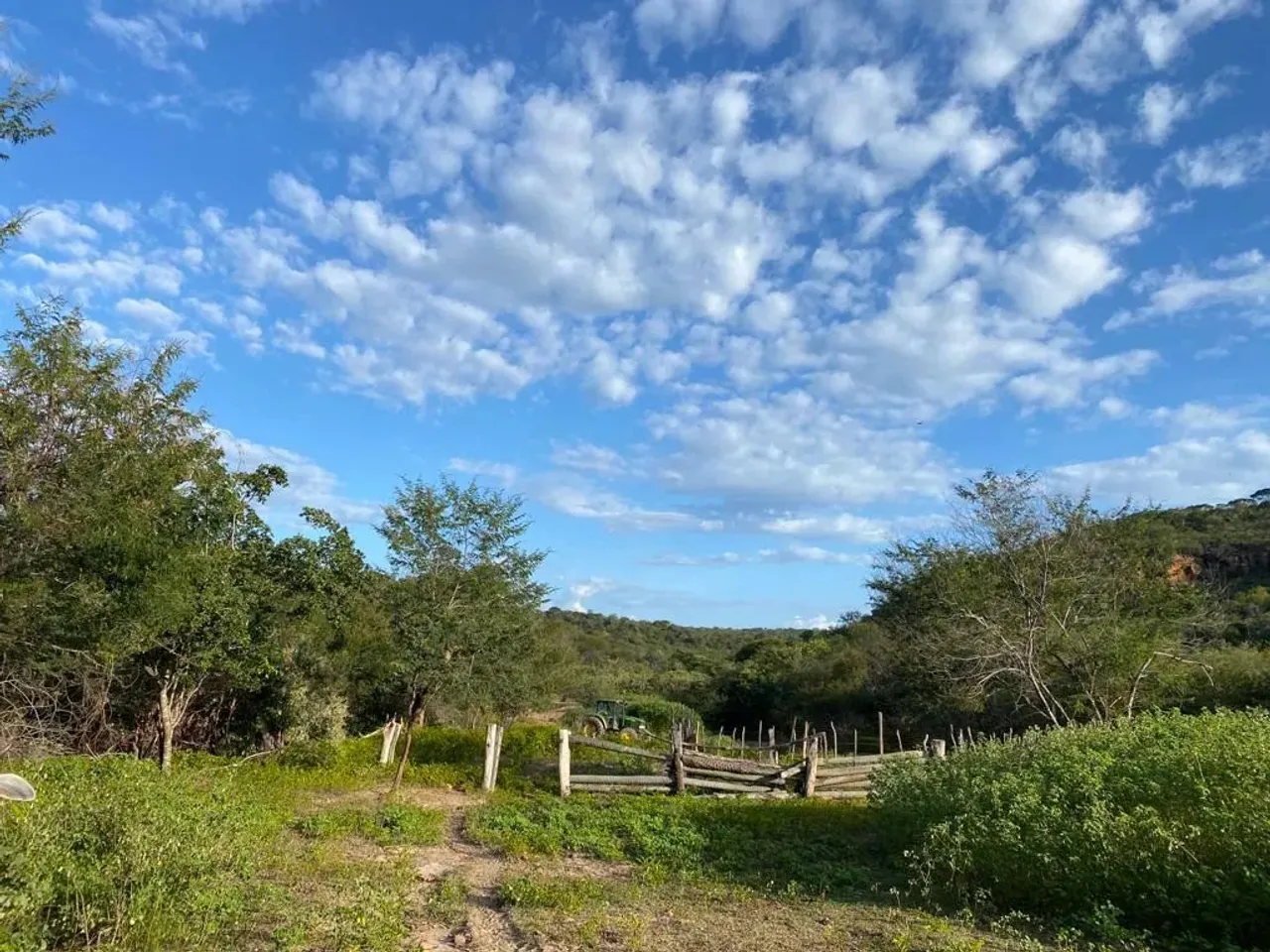 FAZENDA DOCUMENTADA COM 747 HECTARES