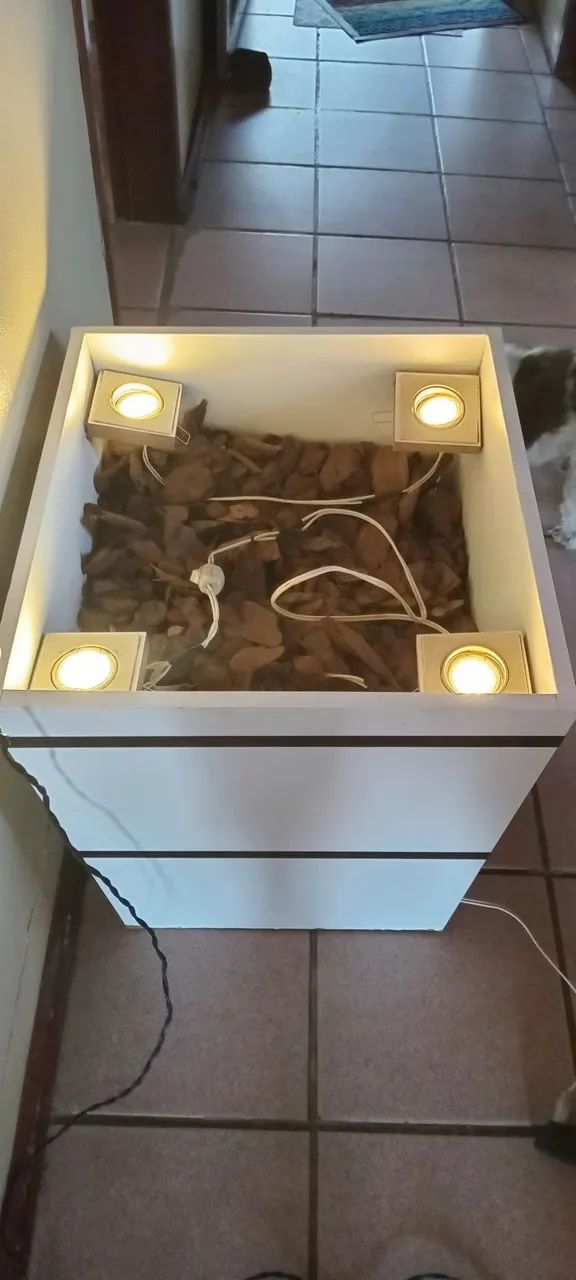 Vaso em MDF com iluminação - Foto 2