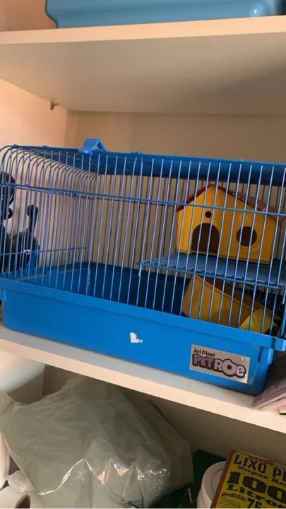 Venda Hamister russo filhote manso  - Foto 5